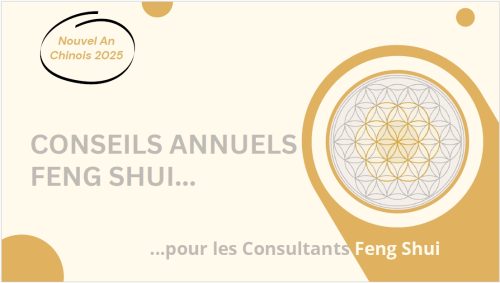 Conseils Feng Shui 2025 – Image 2